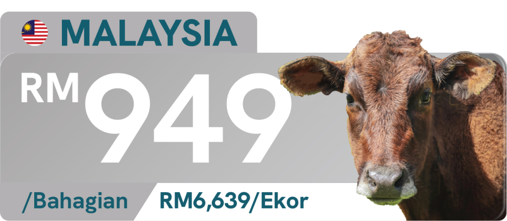 MALAYSIA (LEMBU)