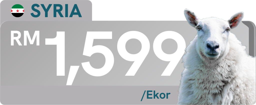 SYRIA (KAMBING)