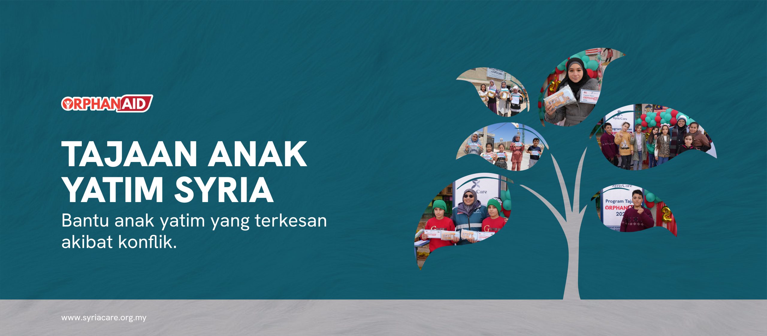 Header website SC 2026