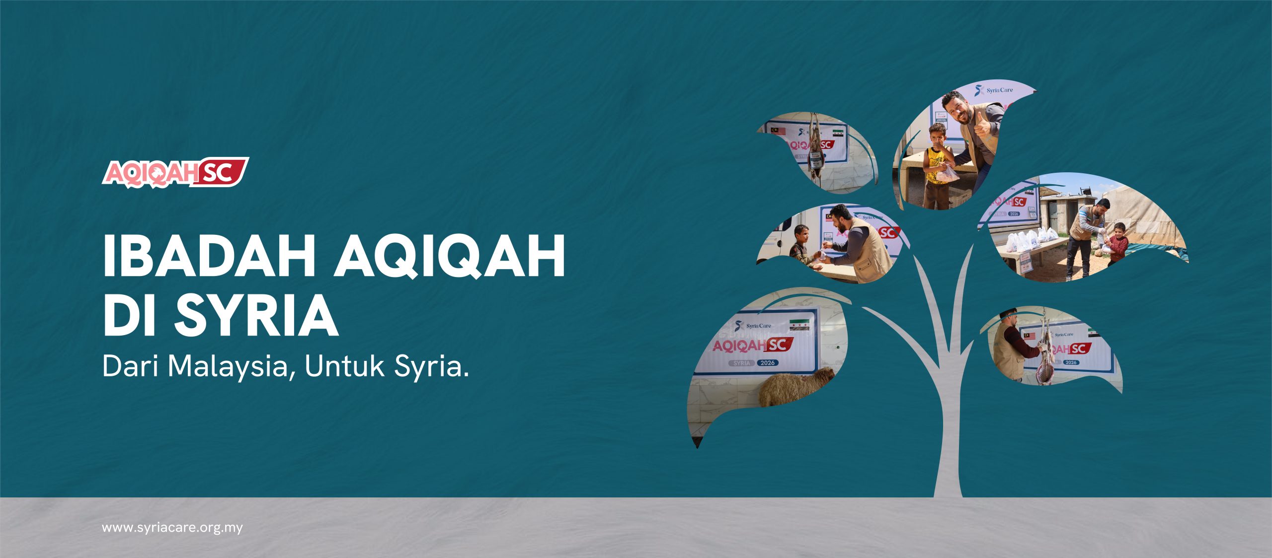 Header website SC 2026