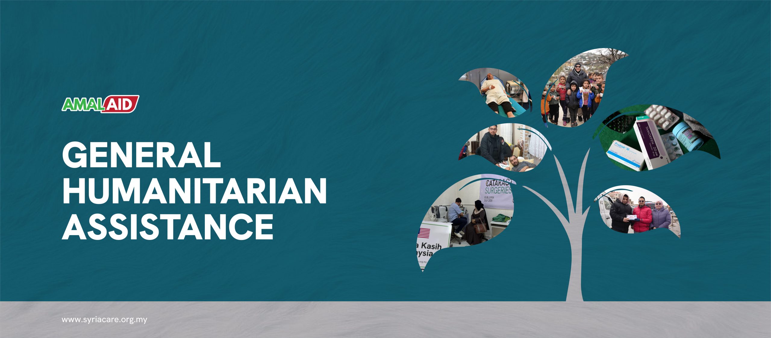 Header website SC 2026