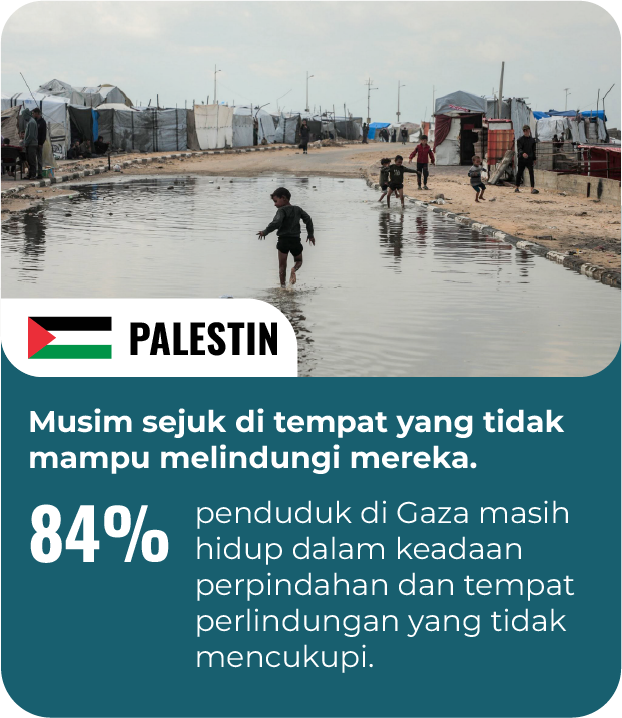 Palestin 1@2x